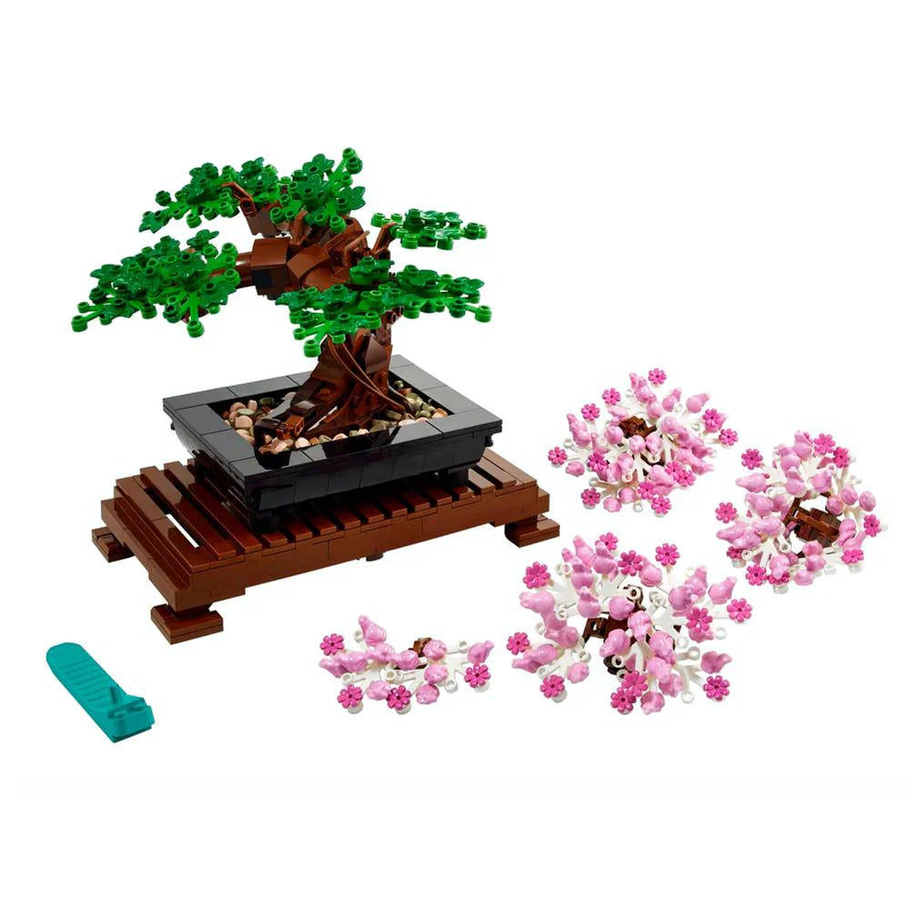 Árbol Bonsai