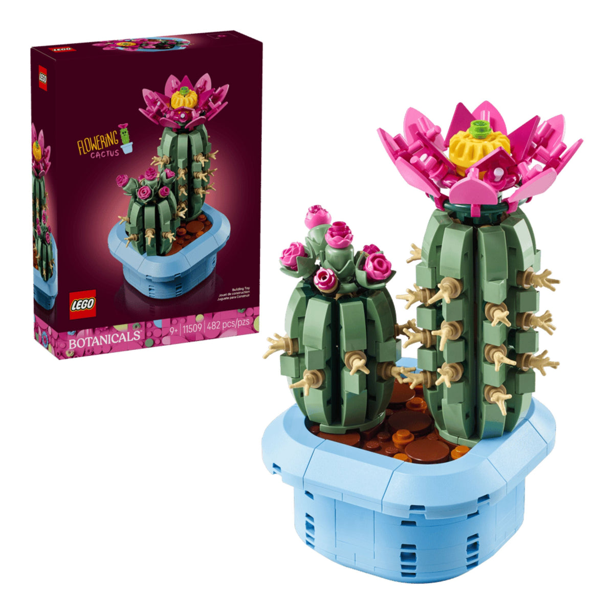 Flowering Cactus