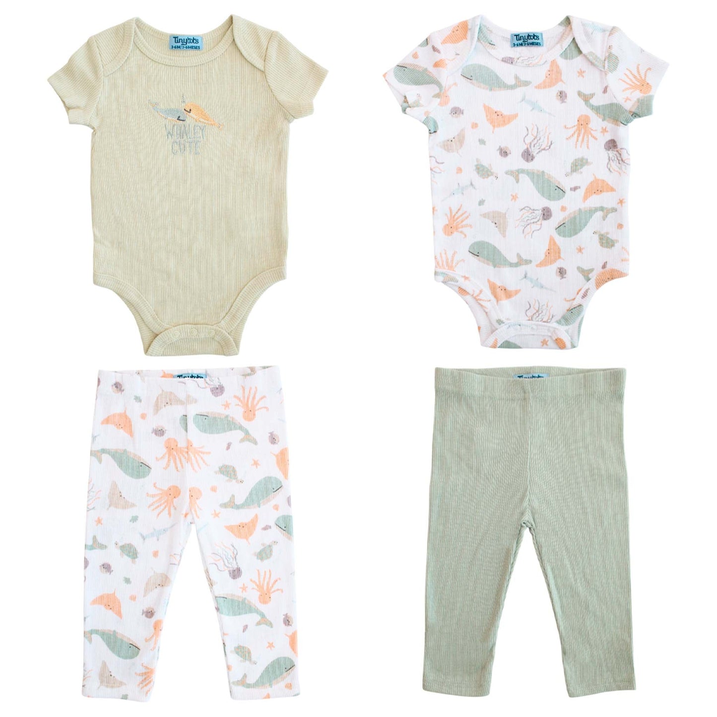 Conjunto Body 2pzs