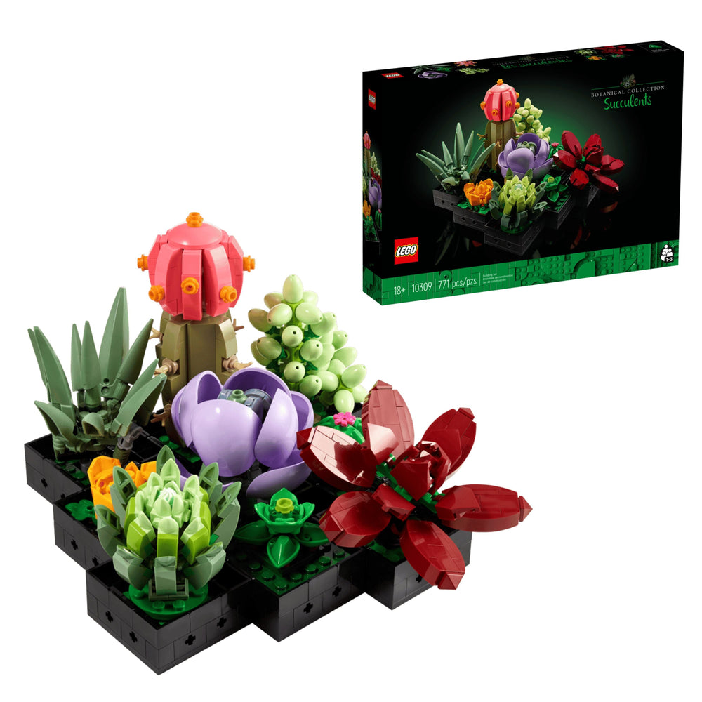 Succulents