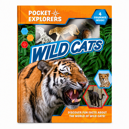 FELINOS PEQUEÑOS EXPLORADORES (LATAM