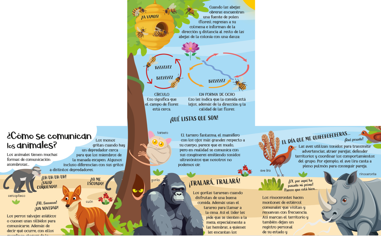 ANIMALES SALVAJES  DESCUBRE Y APRENDE