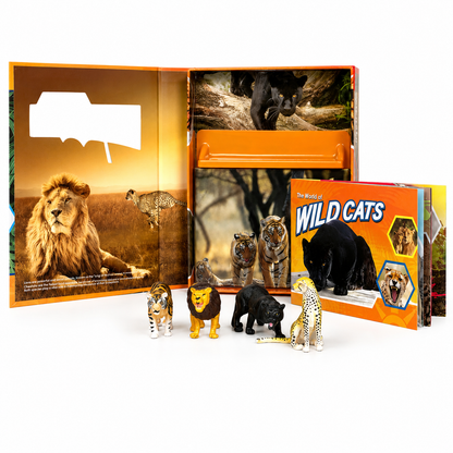 FELINOS PEQUEÑOS EXPLORADORES (LATAM