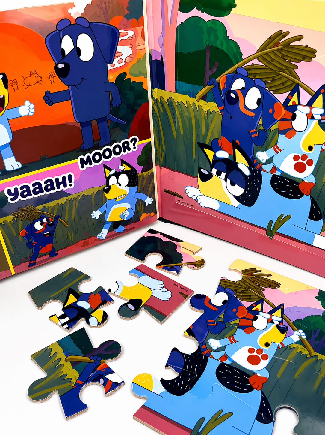 MPLR BBC BLUEY