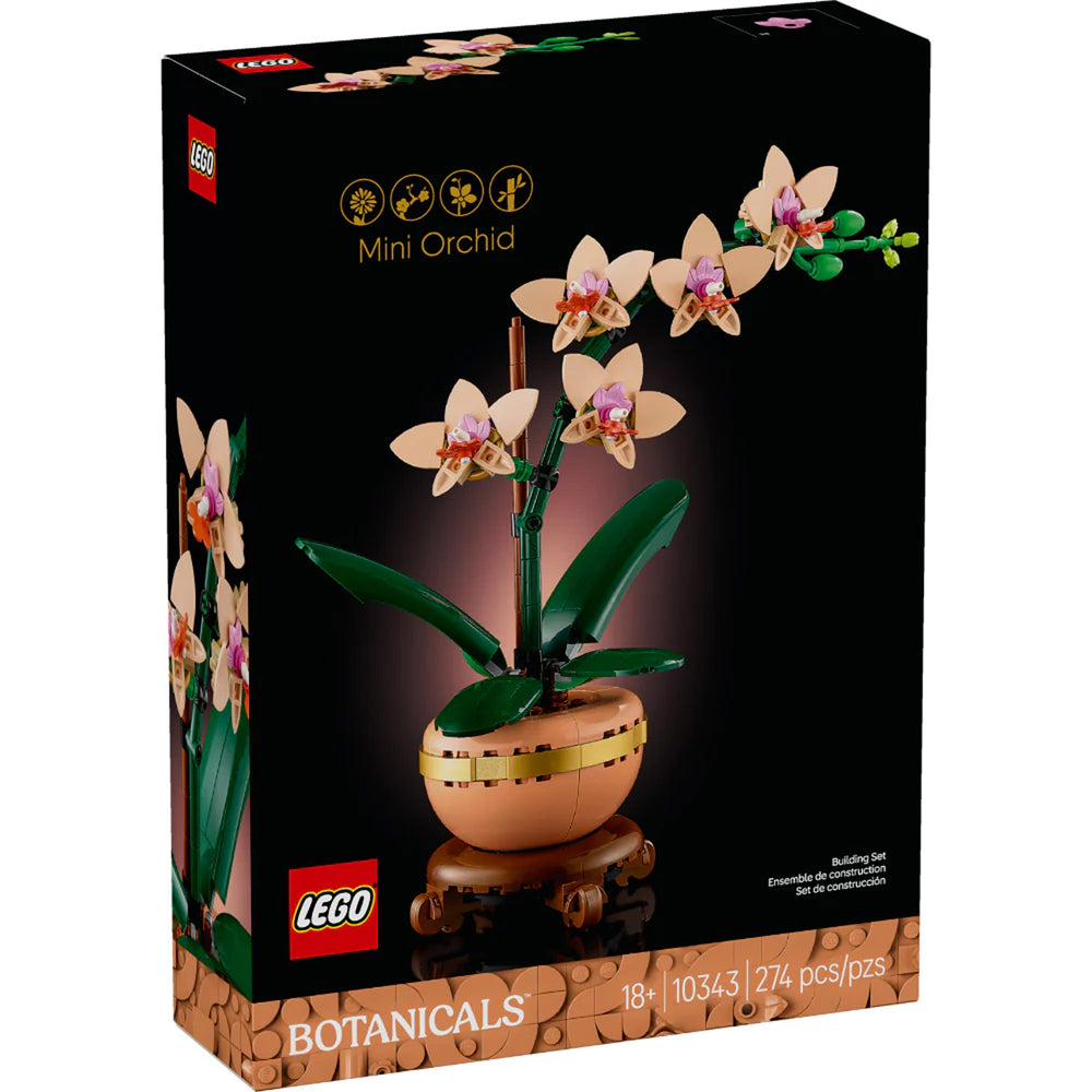 Mini Orquídea